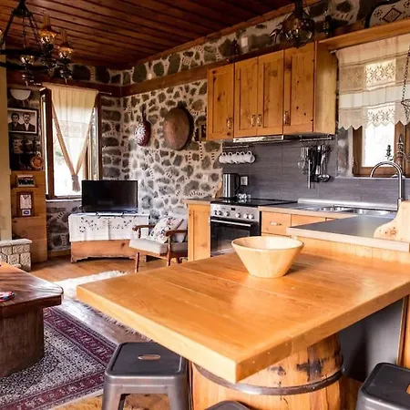 πέτρινη με υπέροχη θέα στο όρος κόζιακα. Holiday home Longiai